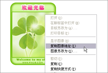 宝贝分类 宝贝分类